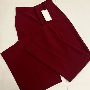 Zara Women's Burgundy Pants